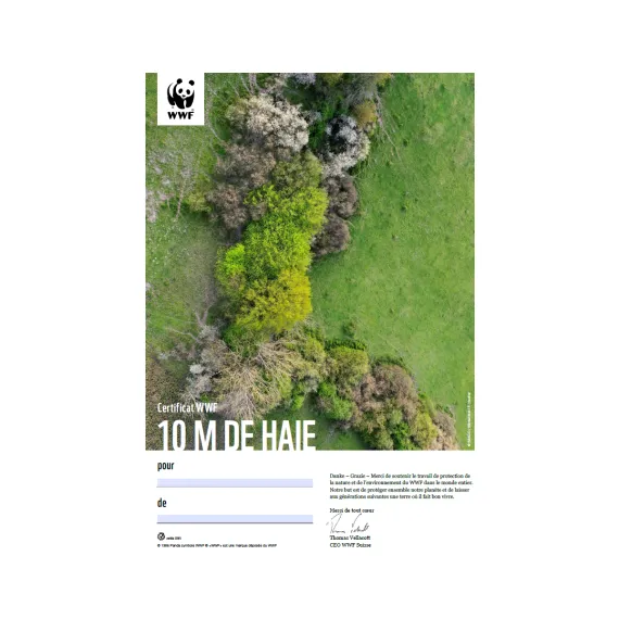 1650.41 WWF Urkunde «10 m Hecke» (digital)