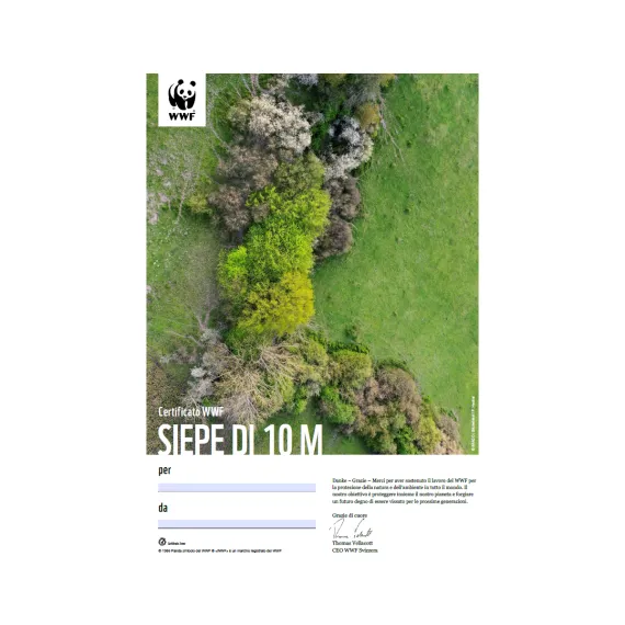 1650.41 WWF Urkunde «10 m Hecke» (digital)
