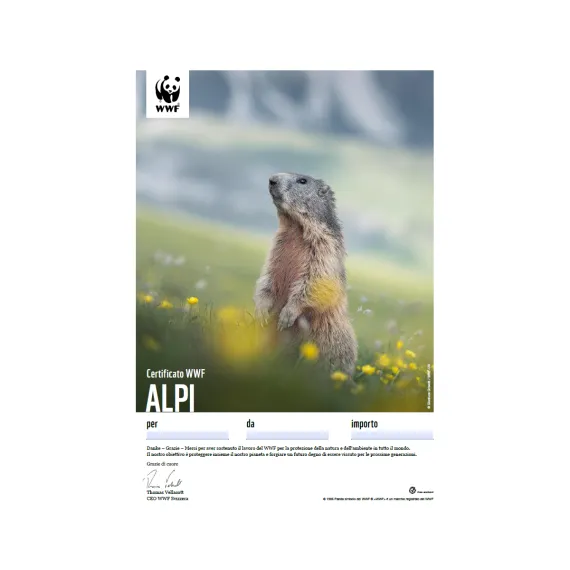Certificato regalo WWF «Alpi»
