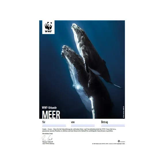 WWF Geschenkurkunde «Meer»