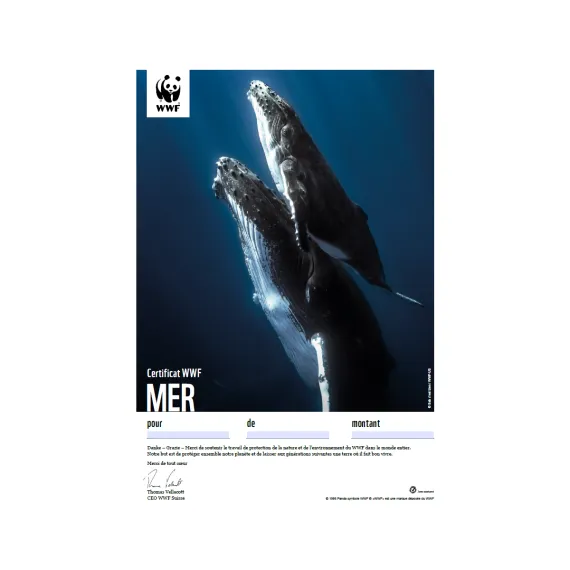 Certificat cadeau du WWF «Mer»