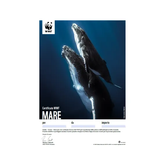 Certificato regalo WWF «Mare»