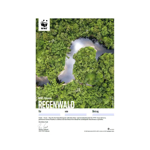 WWF Geschenkurkunde «Regenwald»