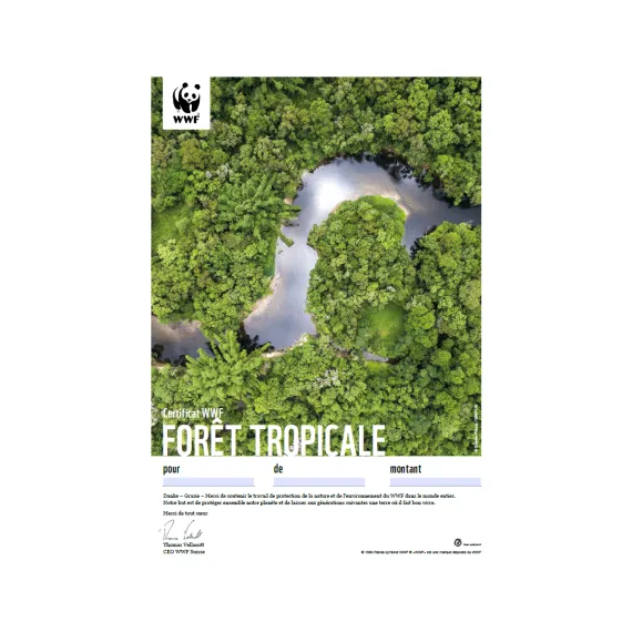 Certificat cadeau du WWF «Forêt tropicale»