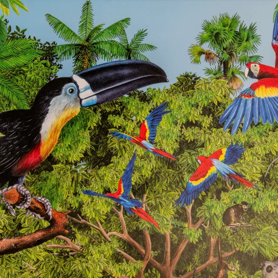 WWF Poster «Regenwald»