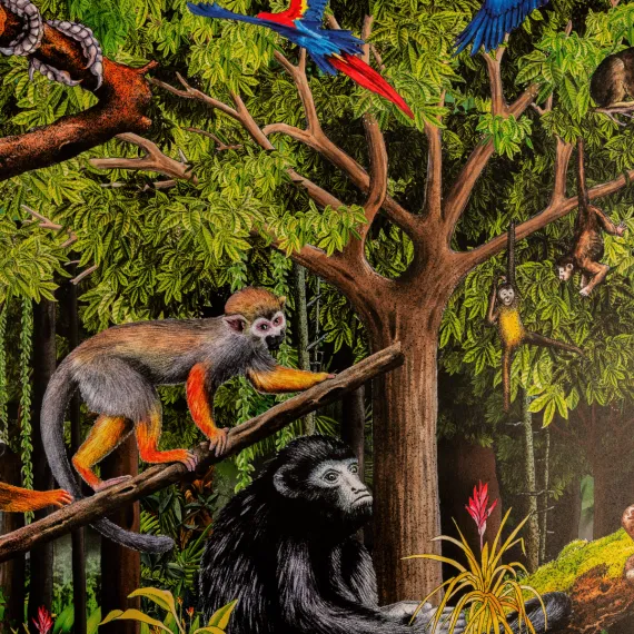 WWF Poster «Regenwald»