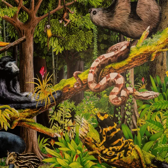 WWF Poster «Regenwald»