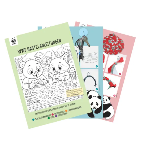 WWF Bastelanleitungen 