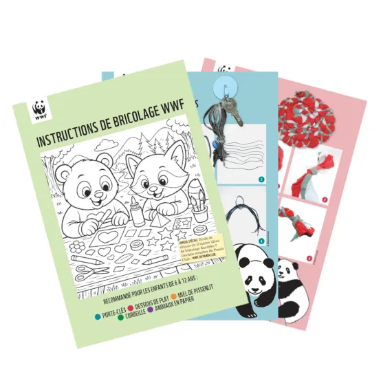 WWF Bastelanleitungen 