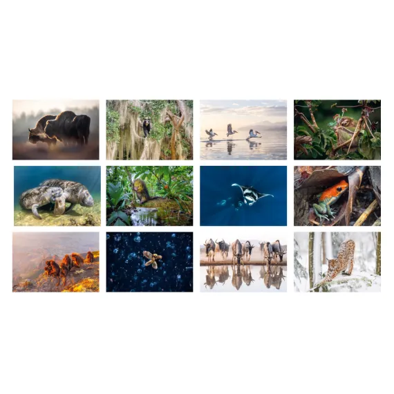 WWF Jahreskalender 2027 Übersicht