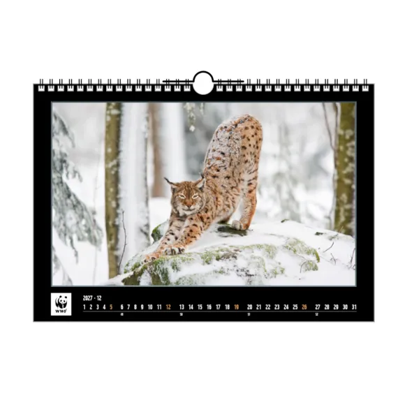 WWF Jahreskalender 2027 Dezember