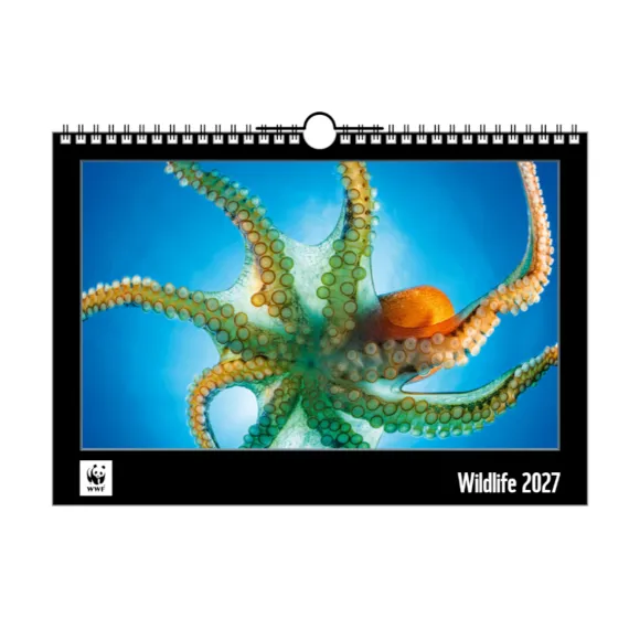 WWF Jahreskalender 2027 Titelbild