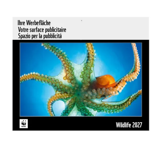 B2B Kalender inkl. Werbefläche