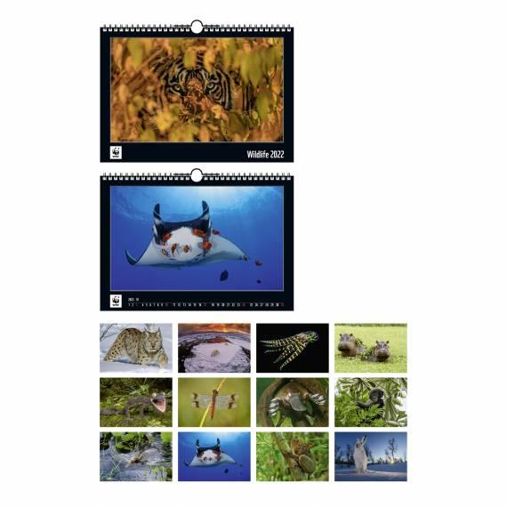 WWF-Wildlife-Kalender 2022
