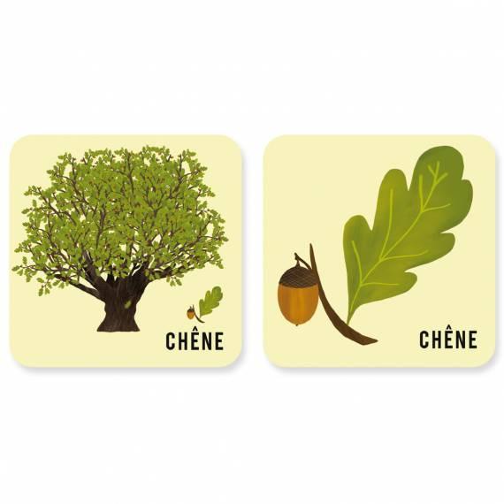 Memo "L'arbre et sa feuille" (nur in französisch)