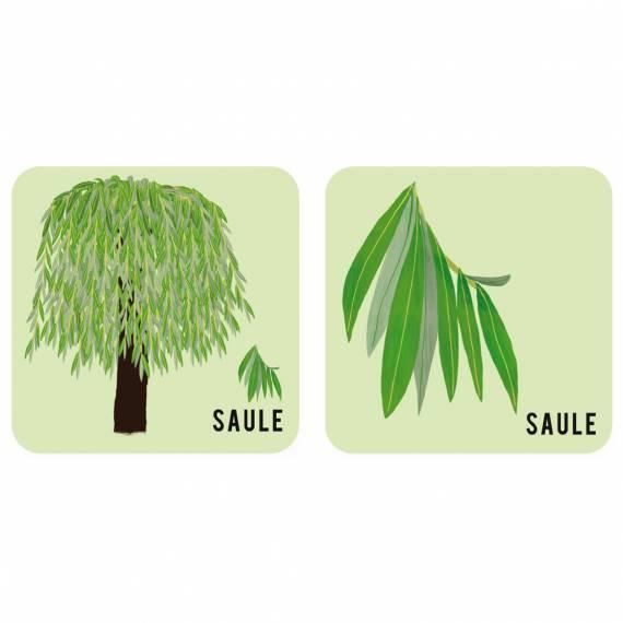 Memo "L'arbre et sa feuille" (nur in französisch)
