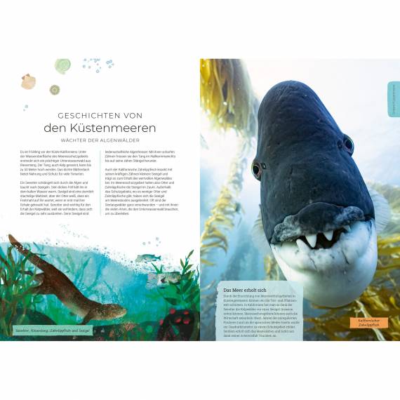 Unser Planet - Ein einzigartiges Zuhause, Kinder-Sachbuch