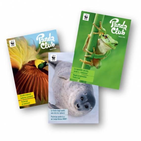 Panda-Club-Magazin (Ital.)