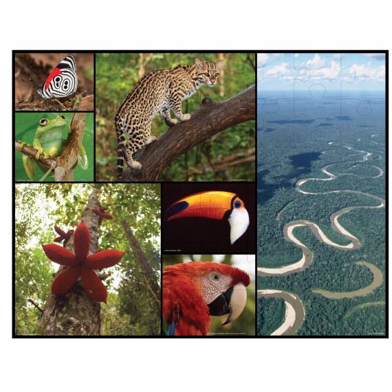 Puzzle Amazonas, 48 Teile, FSC