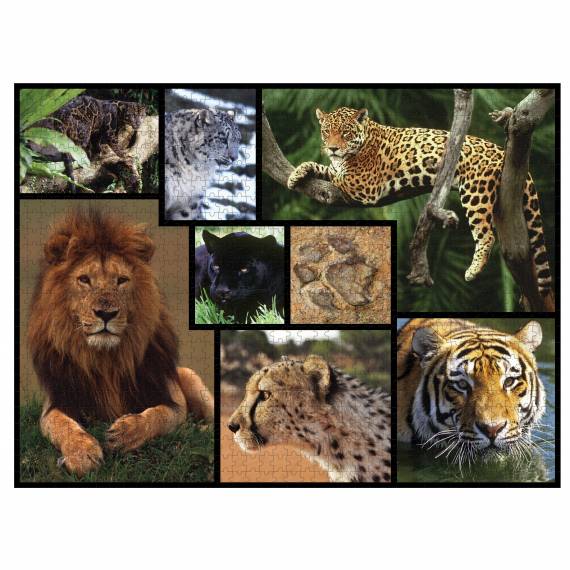 Wildkatzen-Puzzle, 1000 Teile, FSC