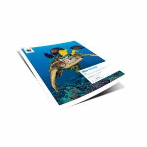 Meer-Urkunde aus dem WWF-Shop