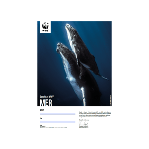 Certificat cadeau du WWF «Mer»