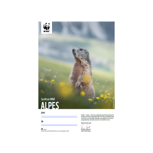 Certificat cadeau du WWF «Alpes»
