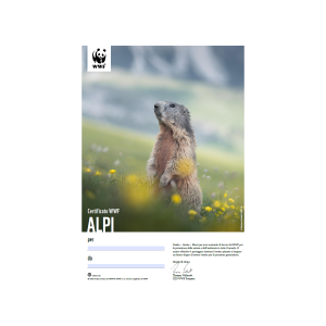 Certificato regalo WWF «Alpi»