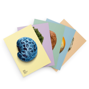 1420.50 WWF Postkarten «Future Foods» II