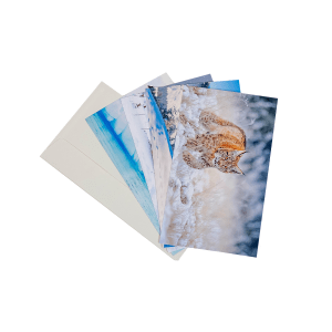 1419.80 WWF Grusskarten, Winter II