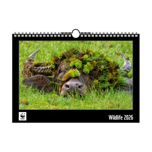 WWF Jahreskalender 2026 Titelbild