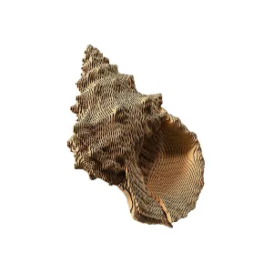 3D-Puzzle «Muschel»