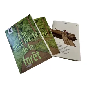 À la découverte de la forêt