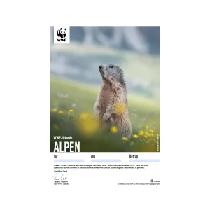WWF Geschenkurkunde «Alpen»