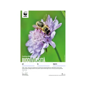 1650.6x WWF Geschenkurkunde «Biodiversität» (digital)