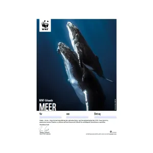 WWF Geschenkurkunde «Meer»