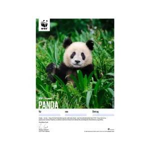 1650.7x WWF Geschenkurkunde «Panda» (digital)