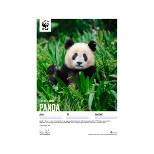 1650.7x WWF Geschenkurkunde «Panda» (digital) 