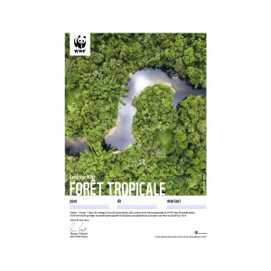 Certificat cadeau du WWF «Forêt tropicale»