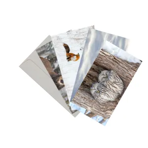 WWF Grusskarten, Winter III