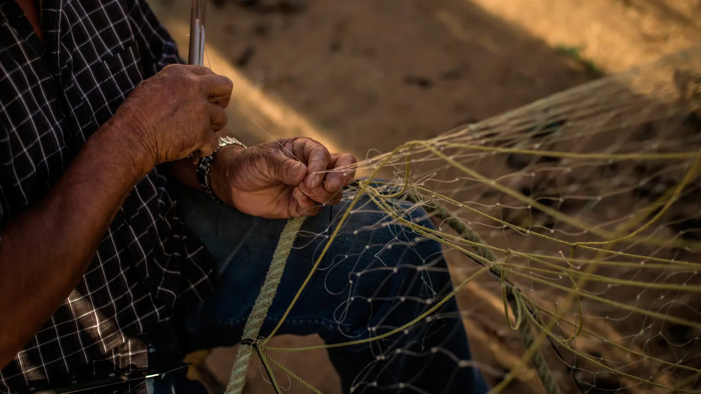 réseau Fischer raccommode