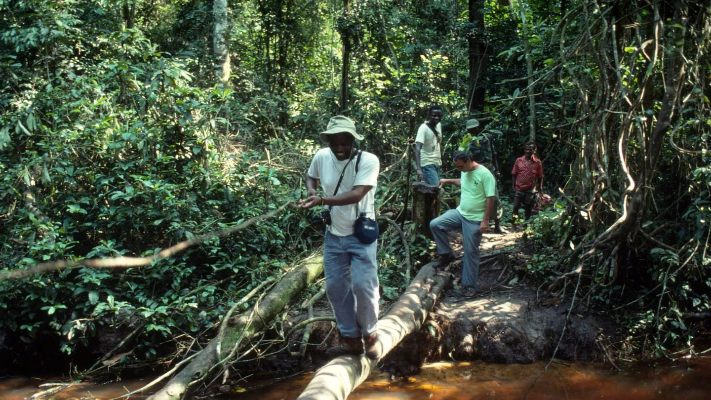 squadra WWF in Congo