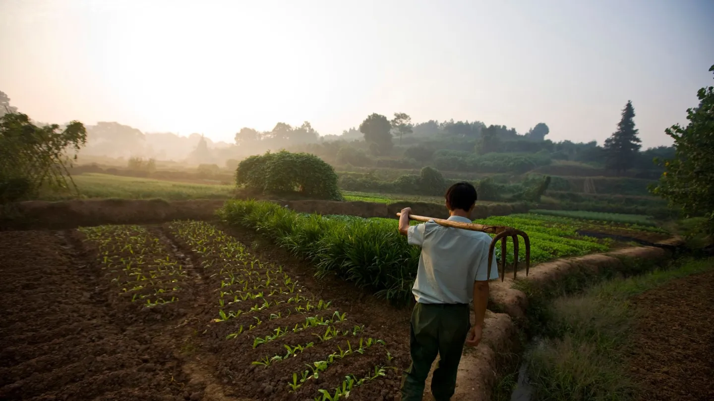 agriculteur chinois sur le chemin de son champ.