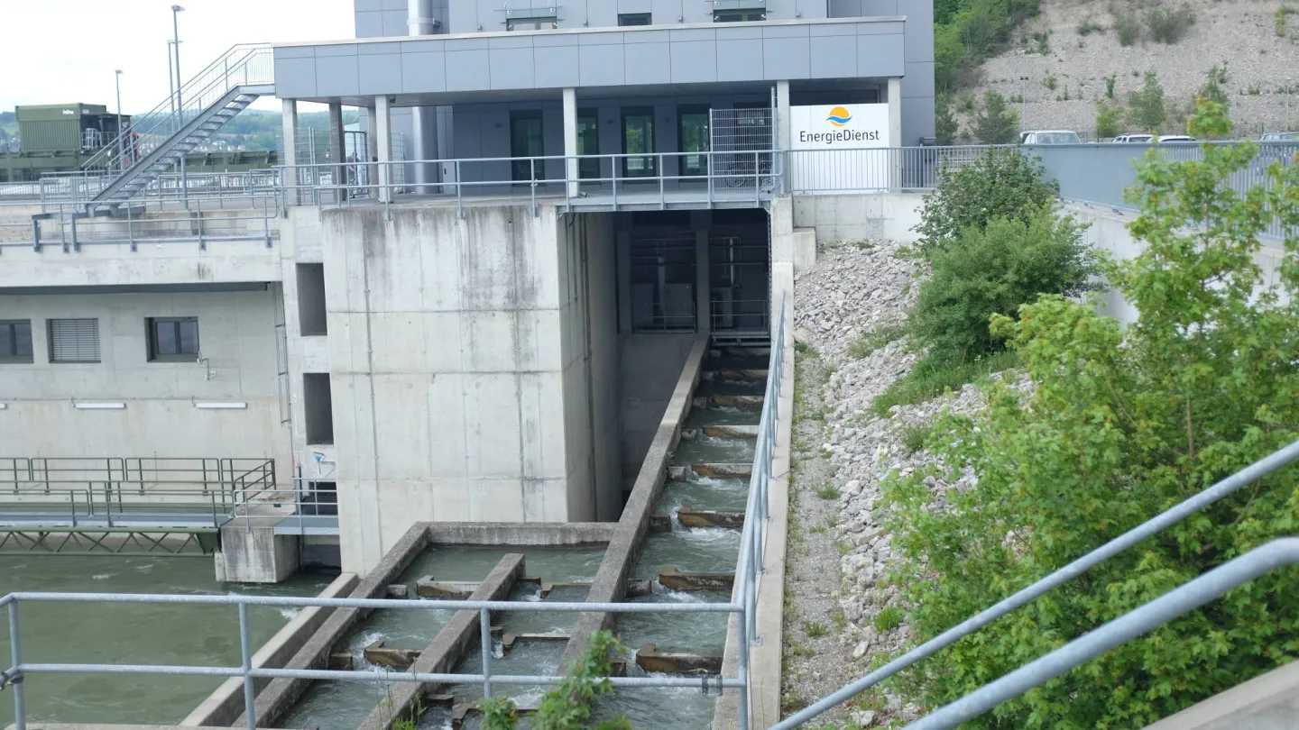 scala di pesce