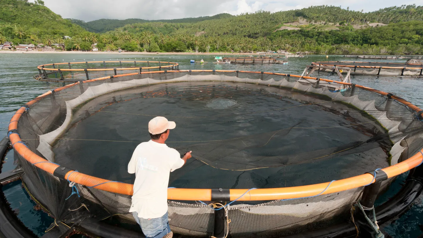 L'allevamento di pesci nelle Filippine