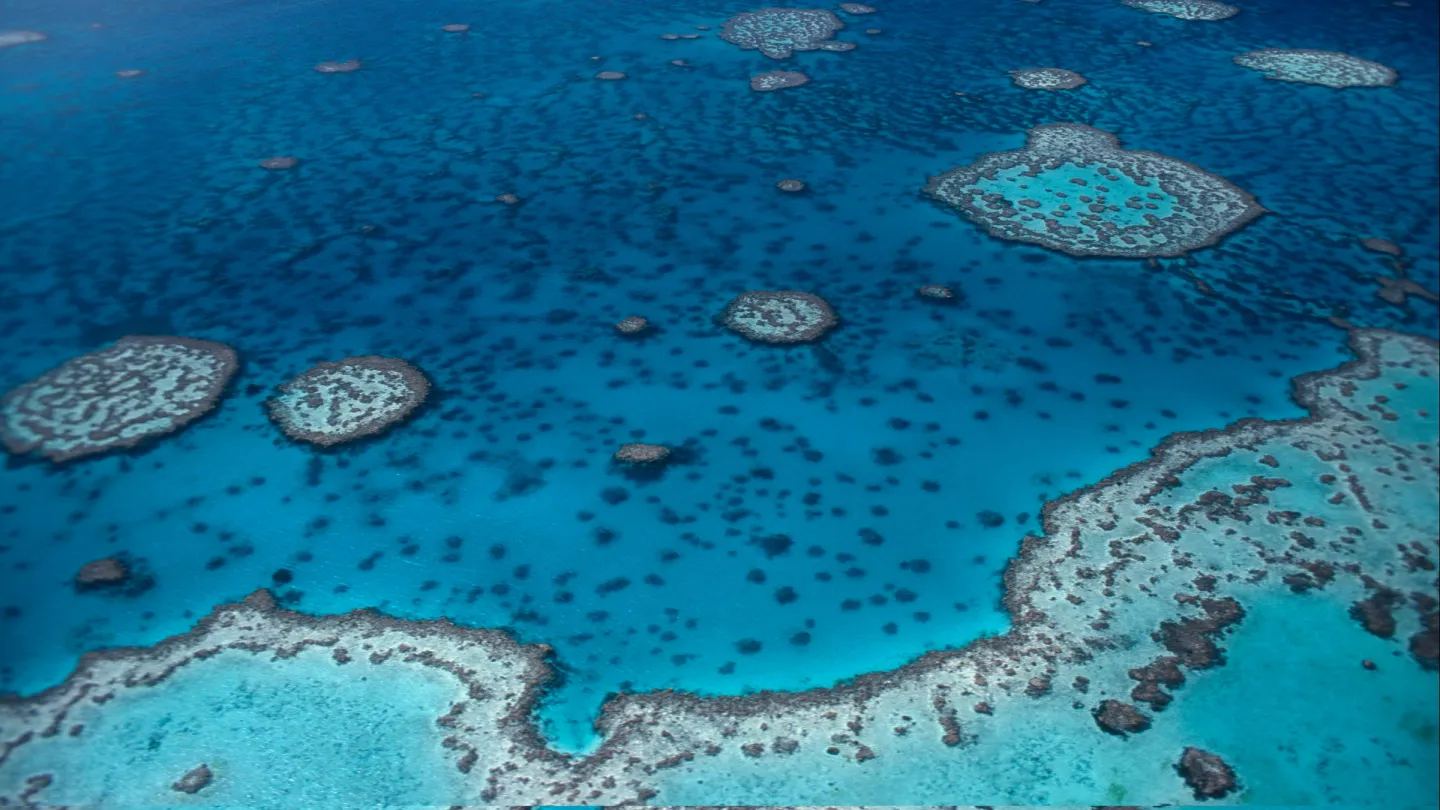 Aérienne Hardy Reef. Une partie de la Grande Barrière de Corail en Australie.