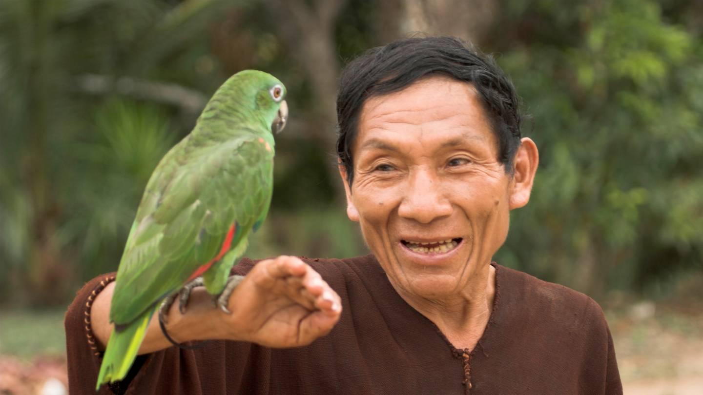 Jorge du peuple Ashaninka au Pérou avec un perroquet vert (Amazona amazonica)