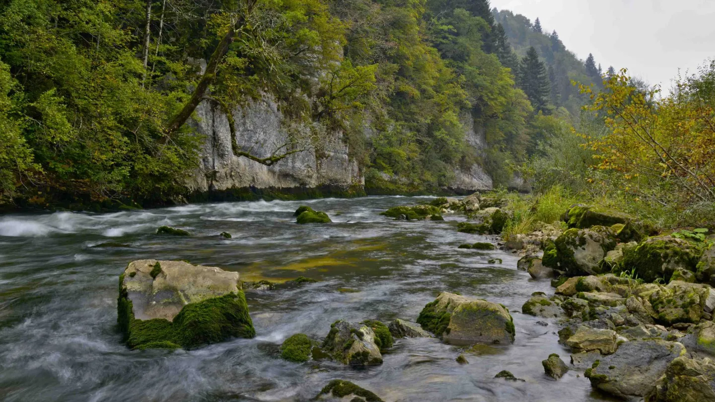 Fluss bei Le Champois im Jura