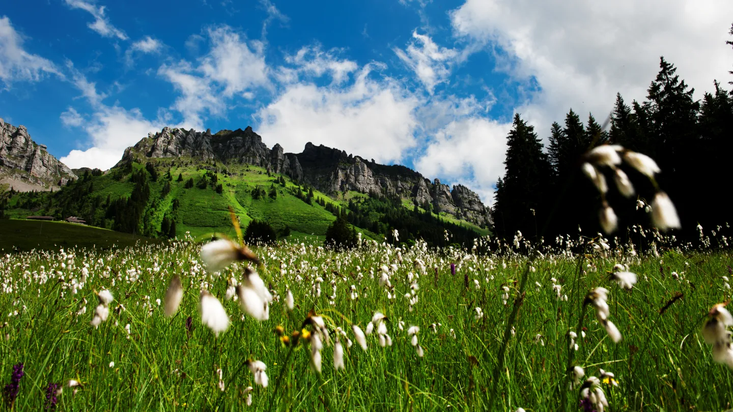 Moorland, Eriz, Bern, Svizzera