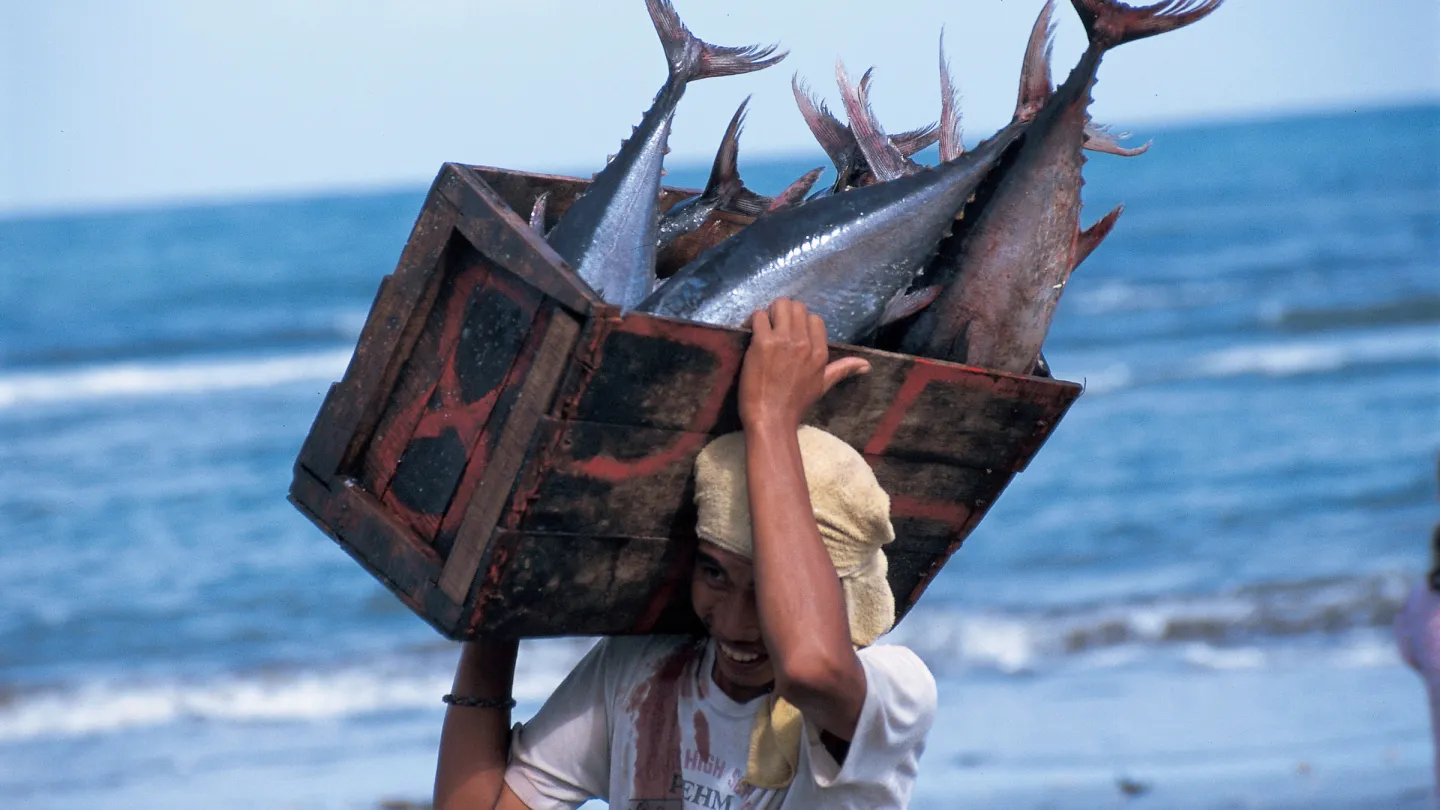 Pêcheur avec captures de thon. Philippines